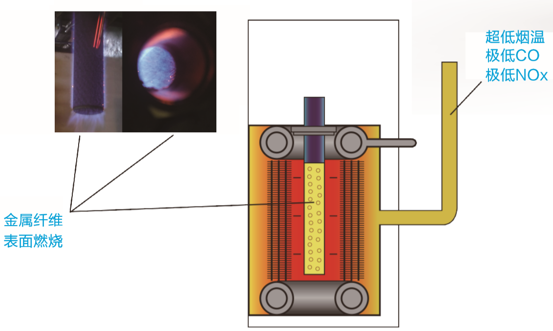 葆藍(lán)低氮純銅冷凝鍋爐案例