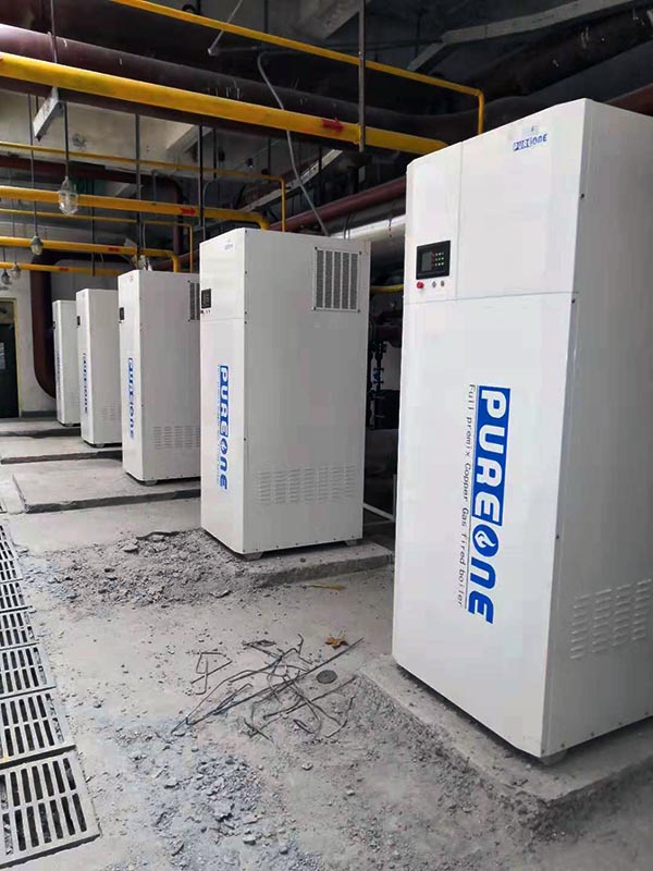 葆藍(lán)低氮銅管鍋爐 兩噸燃?xì)獾偷仩t案例