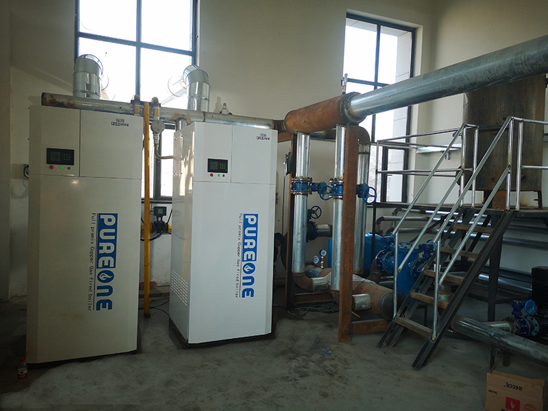 低氮銅制燃?xì)馍逃缅仩t-PUREONE