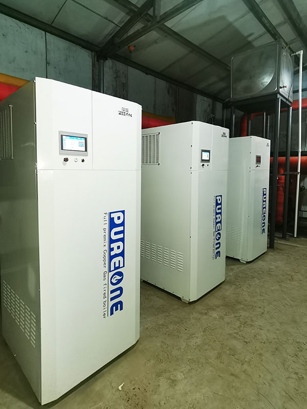 葆藍(lán)低氮純銅鍋爐小區(qū)供暖