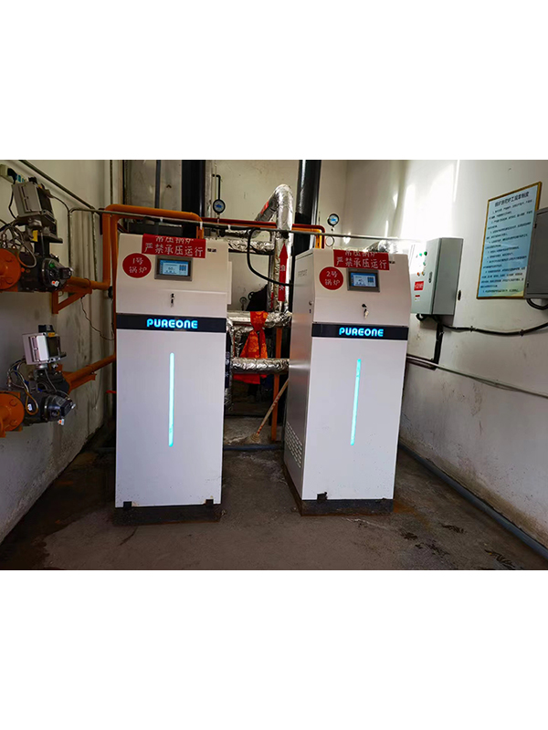 青藏高原葆藍鍋爐供暖